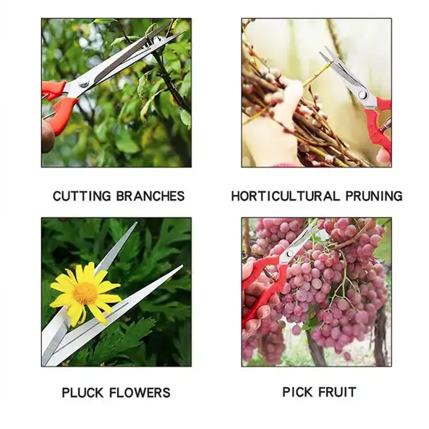 Durable stainless steel pruning scissors, with a non-slip grip for easy gardening. Durable stainless steel pruning scissors, with a non-slip grip for easy gardening.